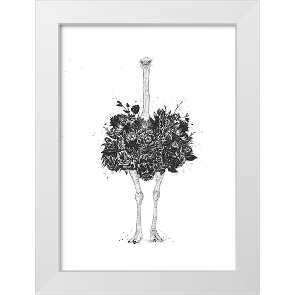 Solti, Balazs 11x14 White Modern Wood Framed Museum Art Print Titled - Floral Ostrich