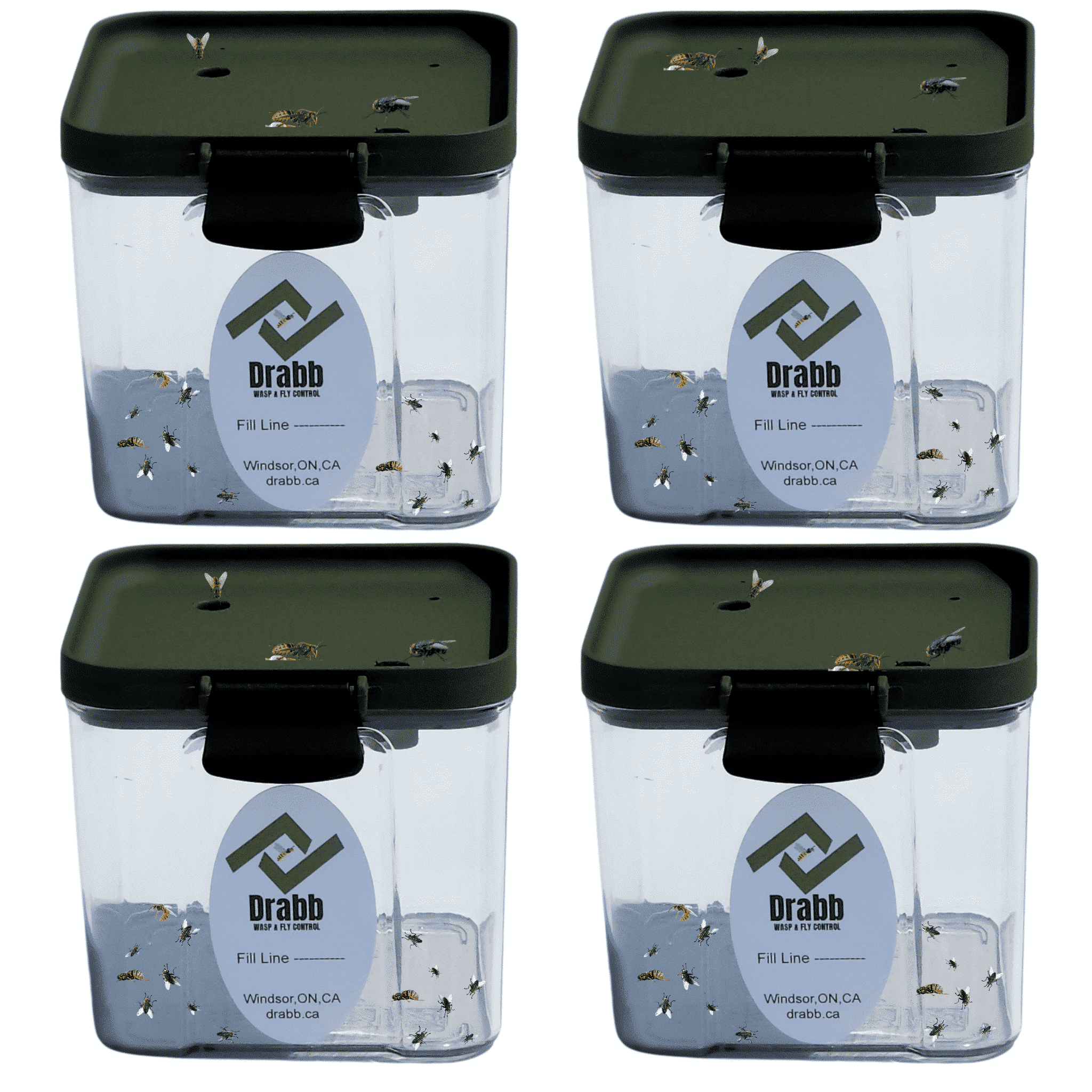 DRABB.  Discreet Wasp Traps & Fly Traps. Professional Grade. 4 Pack. No Hanging.