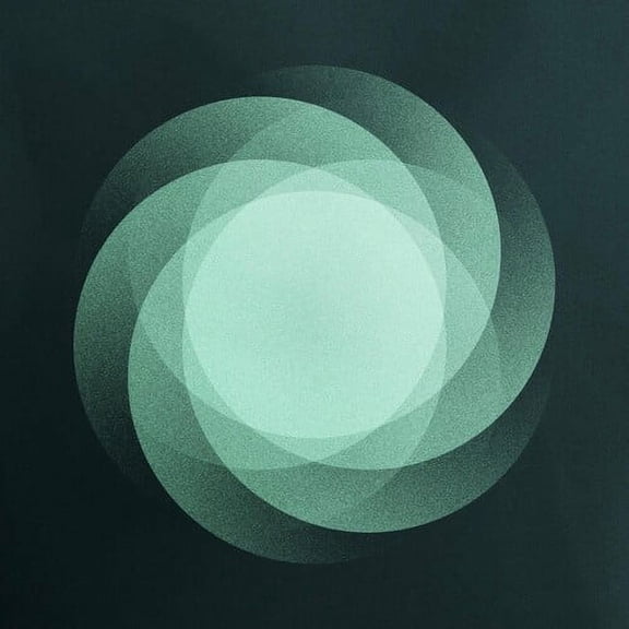 Som - The Shape of Everything - Music & Performance - CD