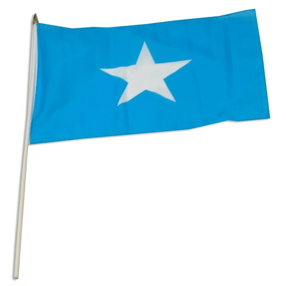 Somalia 12" x 18" Mounted Flag