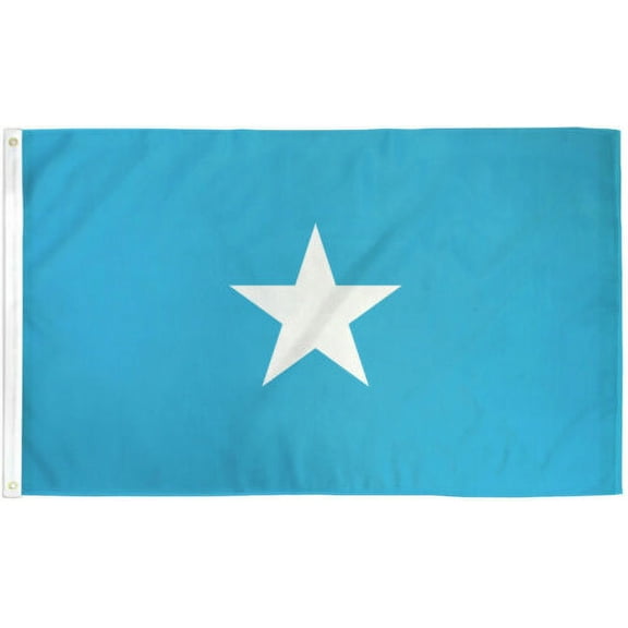Somalia Flag 3x5ft Flag of Somalia Somalis Flag 3x5 House Flag 100D