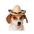 thumbnail image 1 of Halloween Multicolor Pet Sombrero, 1 of 2