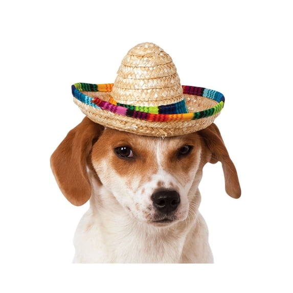 Halloween Multicolor Pet Sombrero