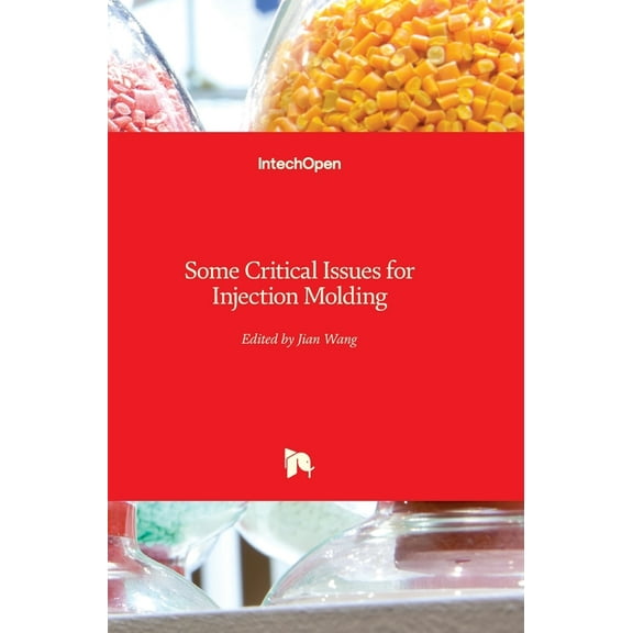 Some Critical Issues for Injection Molding (Hardcover)