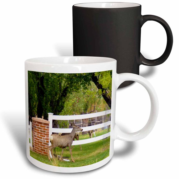 3drose, Some Deer Near a White Picket Fence in Pine Valley on Main St., 11oz Magic Transforming Mug