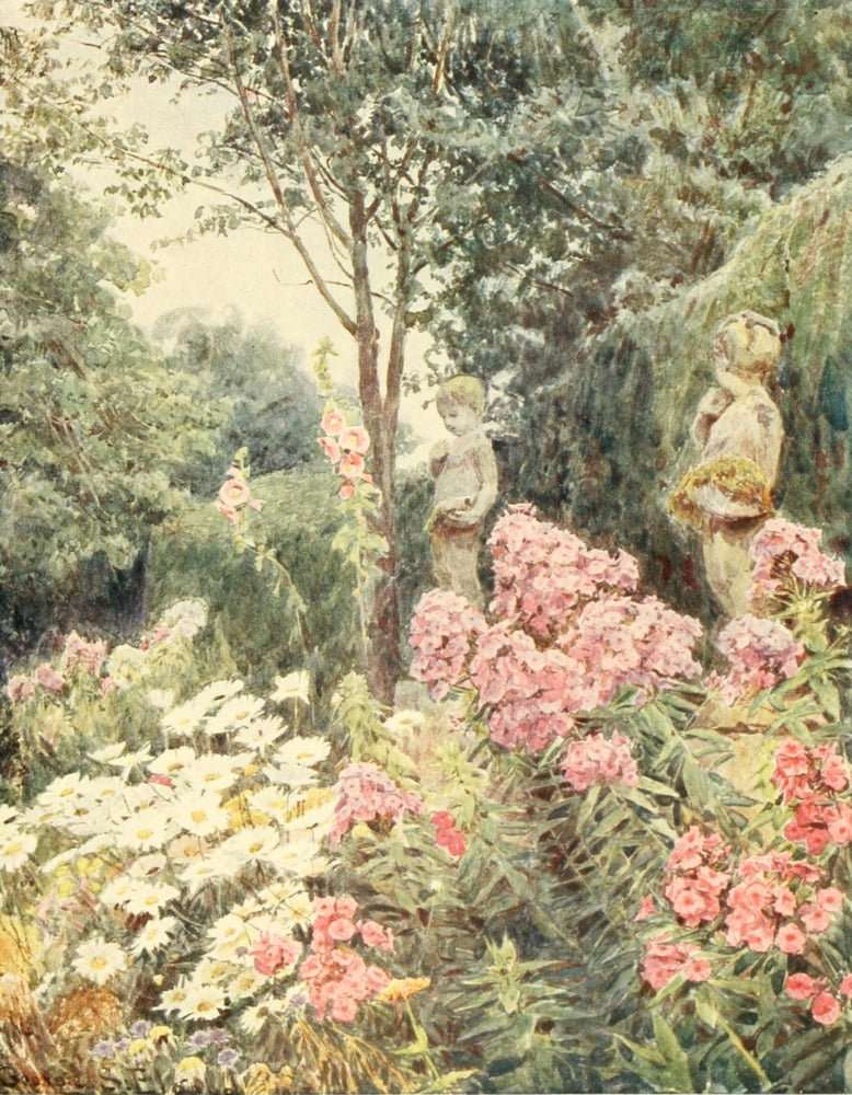 Some English Gardens 1904 Phlox & Daisy Canvas Art - George S Elgood (18 x 24)