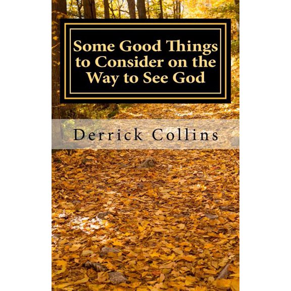 Some Good Things to Consider on the Way to See God Paperback 1535092866 9781535092869 Derrick Collins