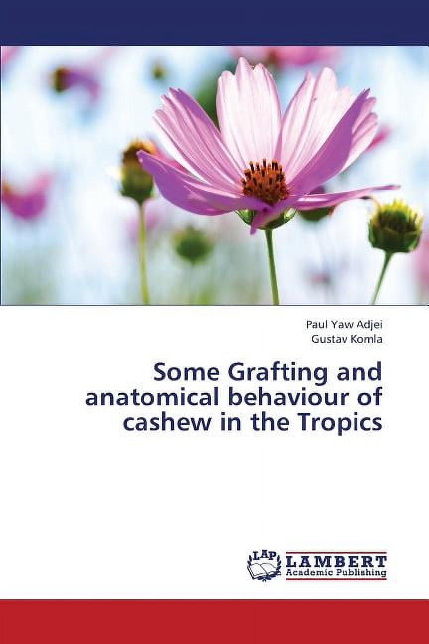Some Grafting and Anatomical Behaviour of Cashew in the Tropics (Paperback)