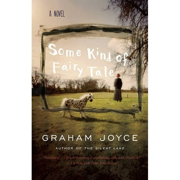 Some Kind of Fairy Tale : A Suspense Thriller (Paperback)