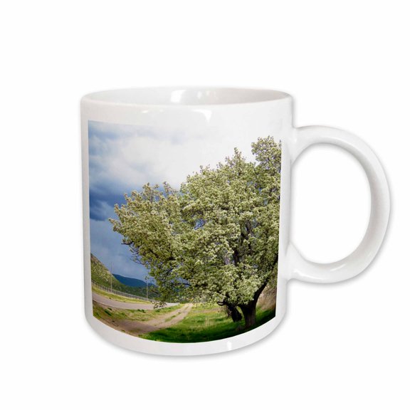3drose, Some Trees on Property in Central Utah with White Blossoms, 15oz Mug