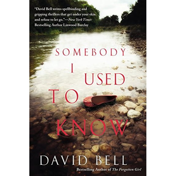 Pre-Owned Somebody I Used to Know Paperback