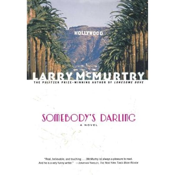 Pre-Owned Somebody's Darling : A Novel (Paperback) 0684853892