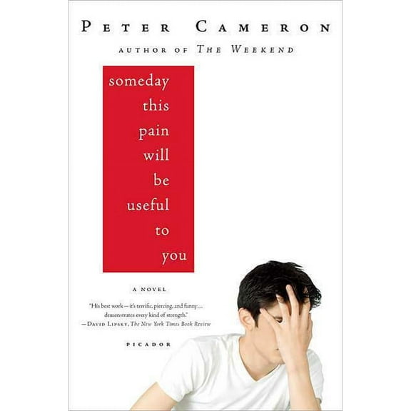 Someday This Pain Will Be Useful to You, (Paperback)
