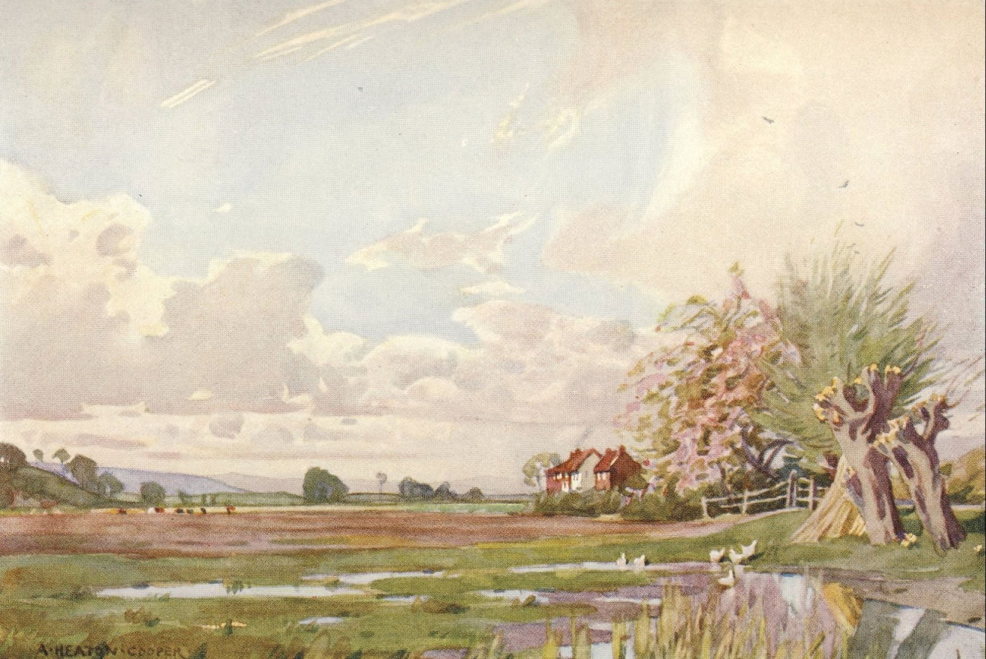 Somerset 1927 Isle of Athelney Canvas Art - Alfred Heaton Cooper (18 x 24)