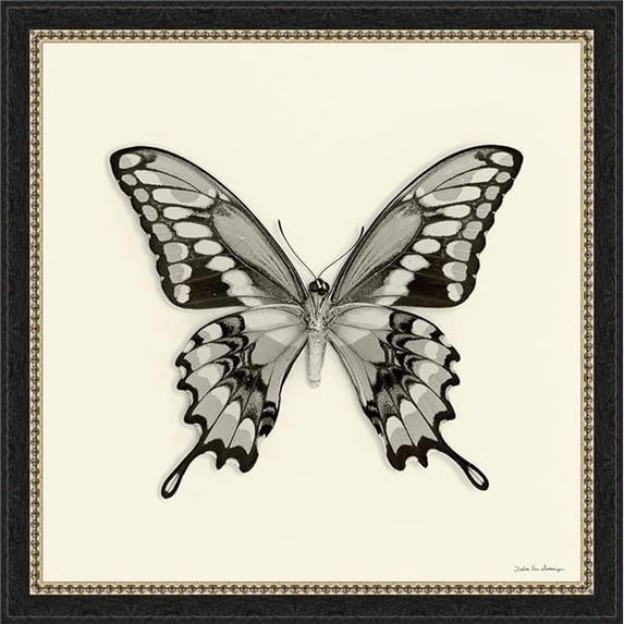Somerset House Publishing 18 x 18 in. Butterfly VI BW, Framed Fine Art Print with Glass