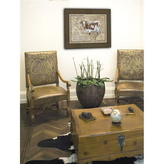 Somerset House Publishing 2469 Texas Longhorn Map Framed Canvas Art
