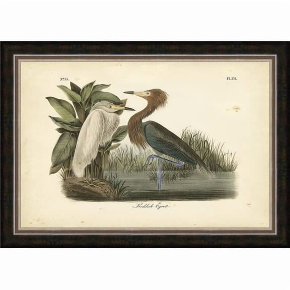 Somerset House Publishing 4263 2.175 in. Audubons Reddish Egret, Framed Fine Art Print with Glass - Silver