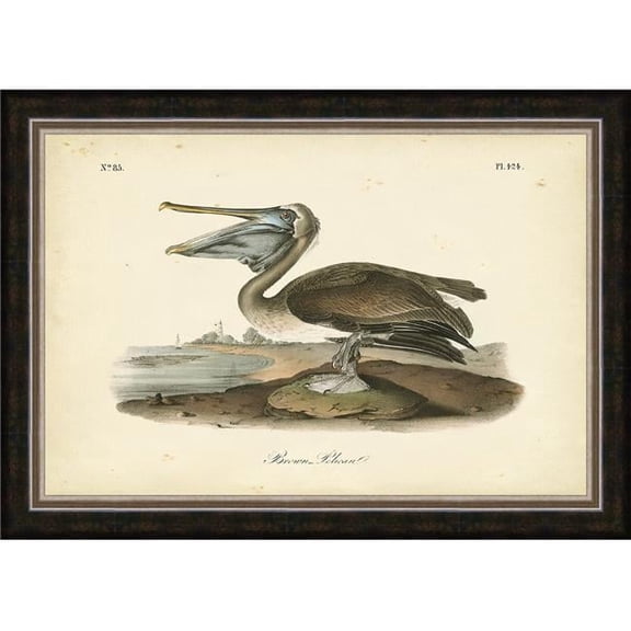 Somerset House Publishing 4264 2.175 in. Audubons Brown Pelican, Framed Fine Art Print with Glass - Silver