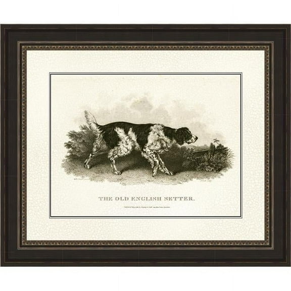 Somerset House Publishing 5124 Antique English Setter, Framed Fine Art Print with Glass