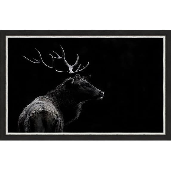 Somerset House Publishing 5819 The Deer Soul, Framed Giclee Canvas Art