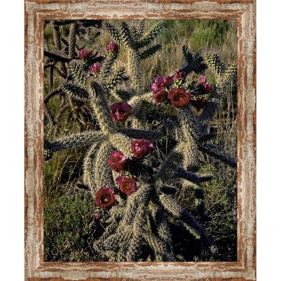Somerset House Publishing 5841 Cholla Cactus, Framed Giclee Canvas Art