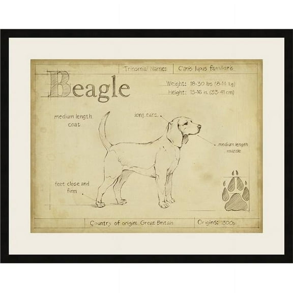 Somerset House Publishing 6501 Antique Beagle, Framed Fine Art Print with Glass