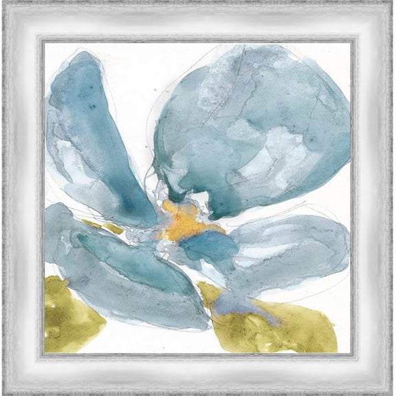 Somerset House Publishing 7082 22.5 x 22.5 in. Flower Splash II, Framed Fine Art Print with Glass - Silver