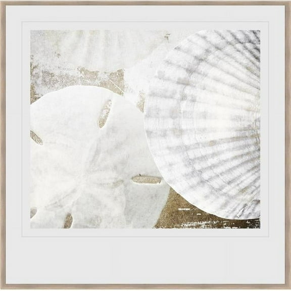 Somerset House Publishing 7219 22.25 x 19.25 in. White Shells II, Framed Fine Art Print with Glass - Black