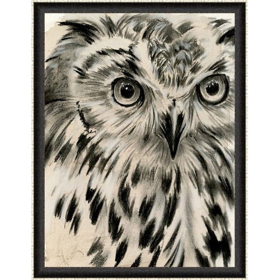 Somerset House Publishing 8294 Charcoal Owl Framed Textured Fine Art Print