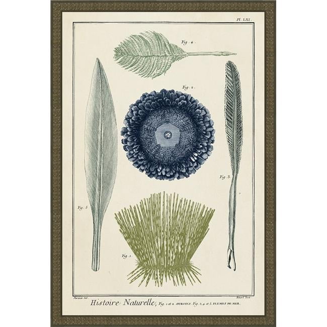 Ocean Oddity II Framed Print with Brown Embellished Wooden Frame