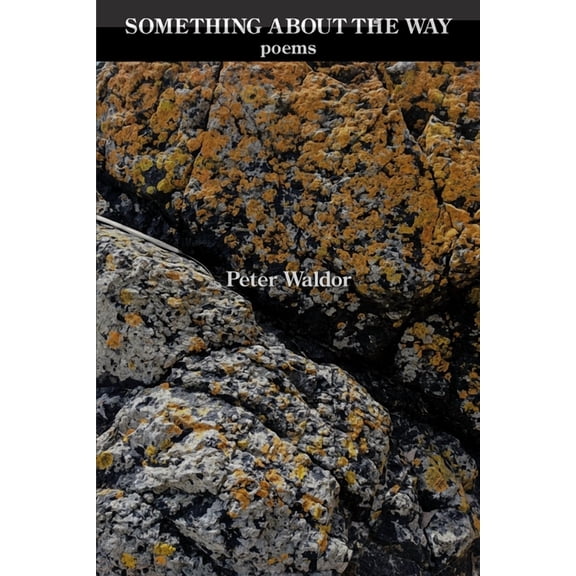 Something About the Way (Paperback)
