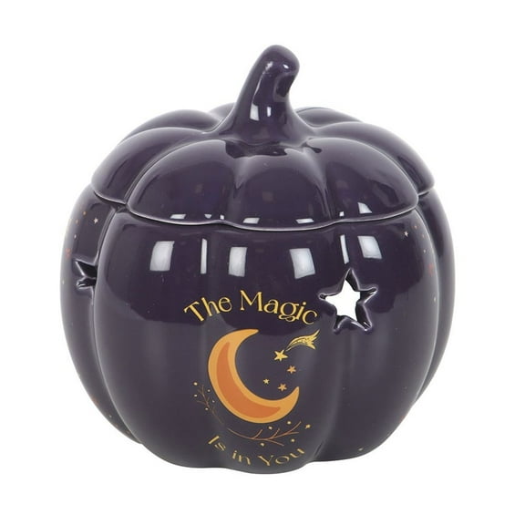 Something Different The Magic Is In You Pumpkin Oil Burner