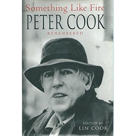 Pre-Owned Something Like Fire (Hardcover) 9780413706607