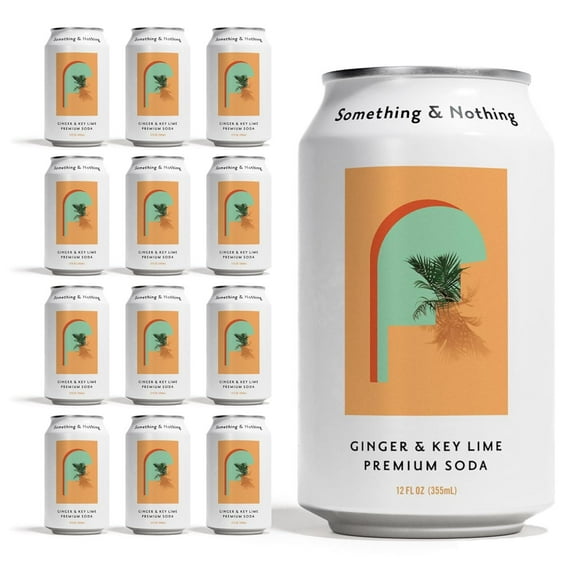 Something & Nothing Lightly Carbonated Ginger & Key Lime Premium Soda Case of 12 x 12 Fl Oz