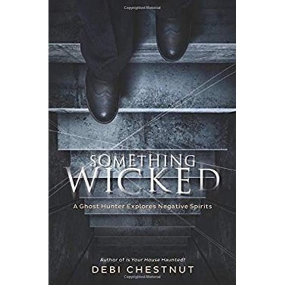 Pre-Owned Something Wicked: A Ghost Hunter Explores Negative Spirits (Paperback) 0738742171 9780738742175