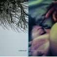 thumbnail image 1 of Sometime Not Now, 1 of 1