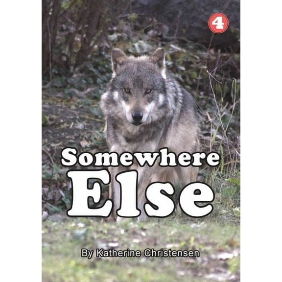 Somewhere Else, (Paperback)