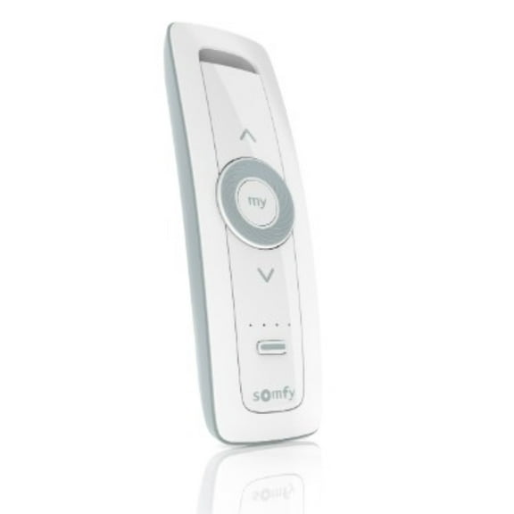 Somfy Situo 5 Variation RTS Pure II (#1811612)