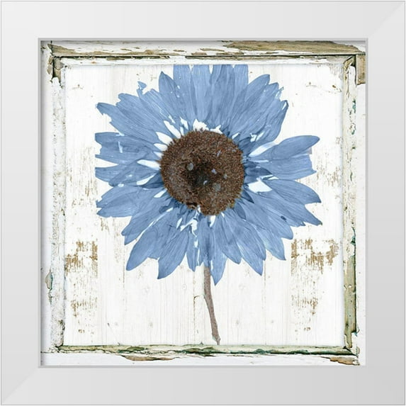 Sommers, Mindy 12x12 White Modern Wood Framed Museum Art Print Titled - Blue Sunflower Redux