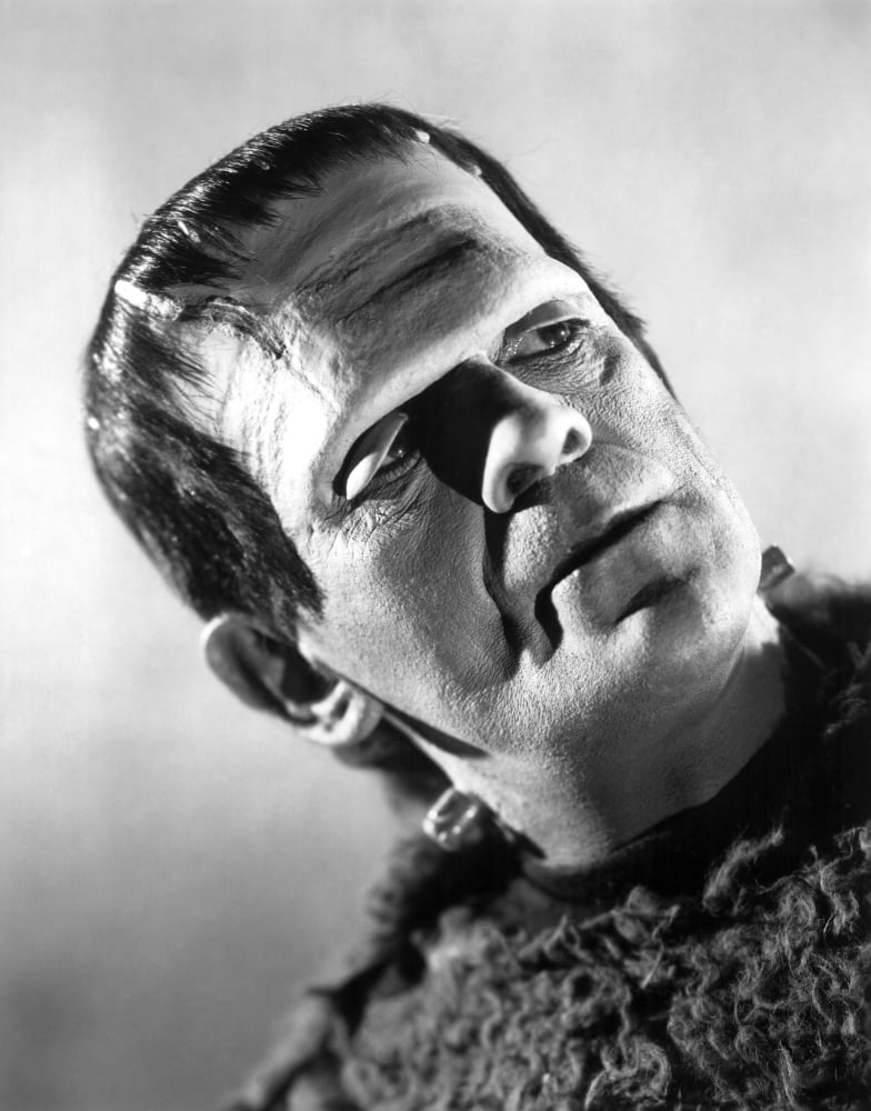 Son Of Frankenstein Canvas Art - (16 x 20)