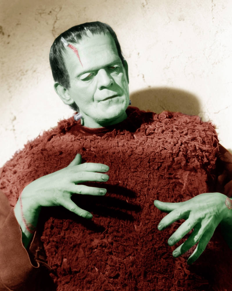 Son Of Frankenstein Canvas Art - (16 x 20)
