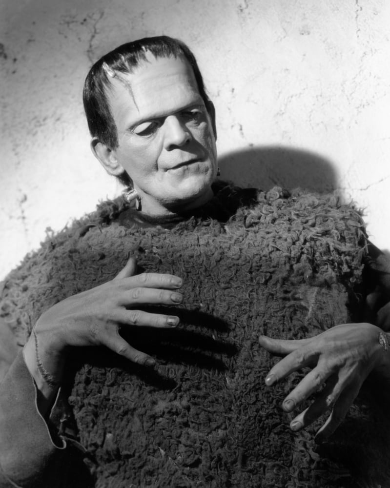 Son Of Frankenstein Canvas Art - (16 x 20)