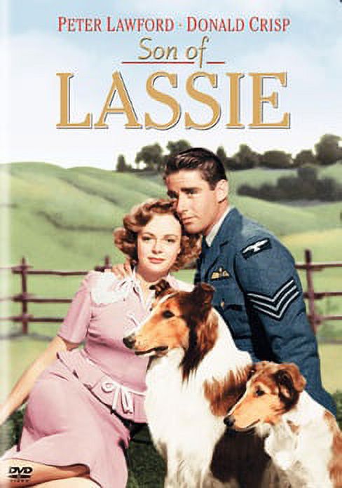 Hollywood Collection - The Story of Lassie (DVD) 646032039993