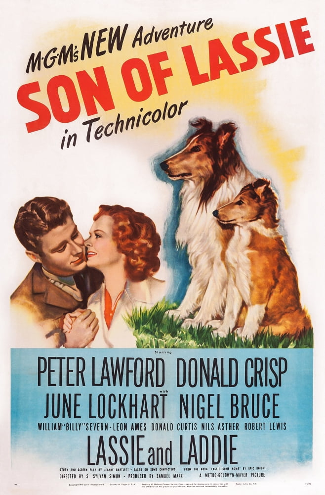 Son Of Lassie U Canvas Art - (11 x 17)
