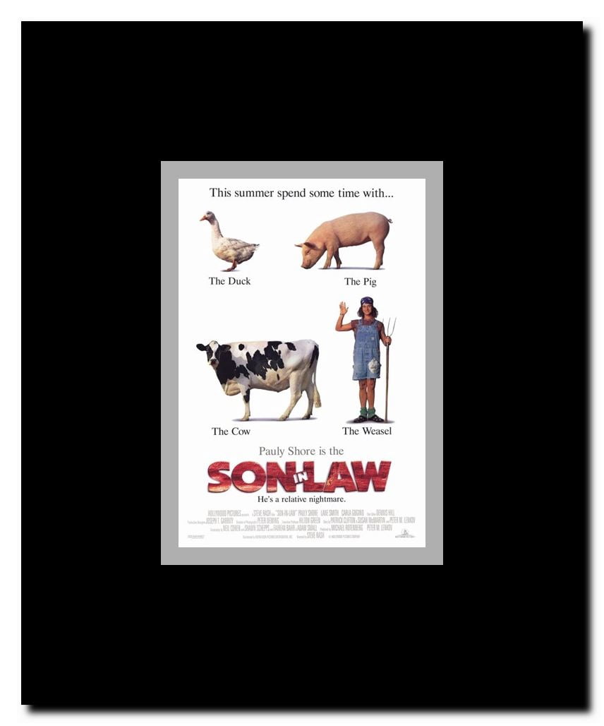 Son in Law Framed Movie Poster