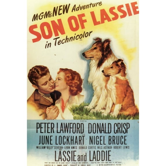Son of Lassie Movie Poster Print (27 x 40)