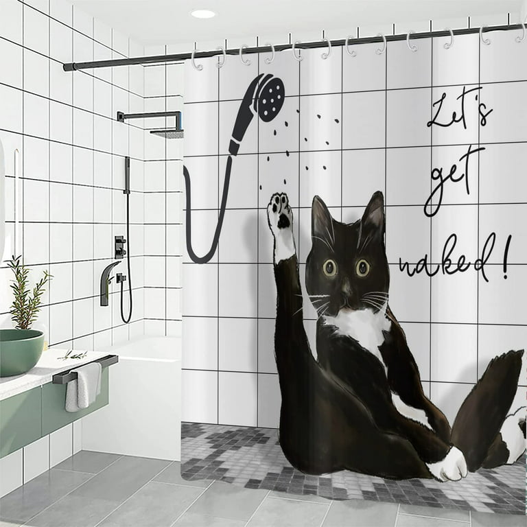 Shower Cat