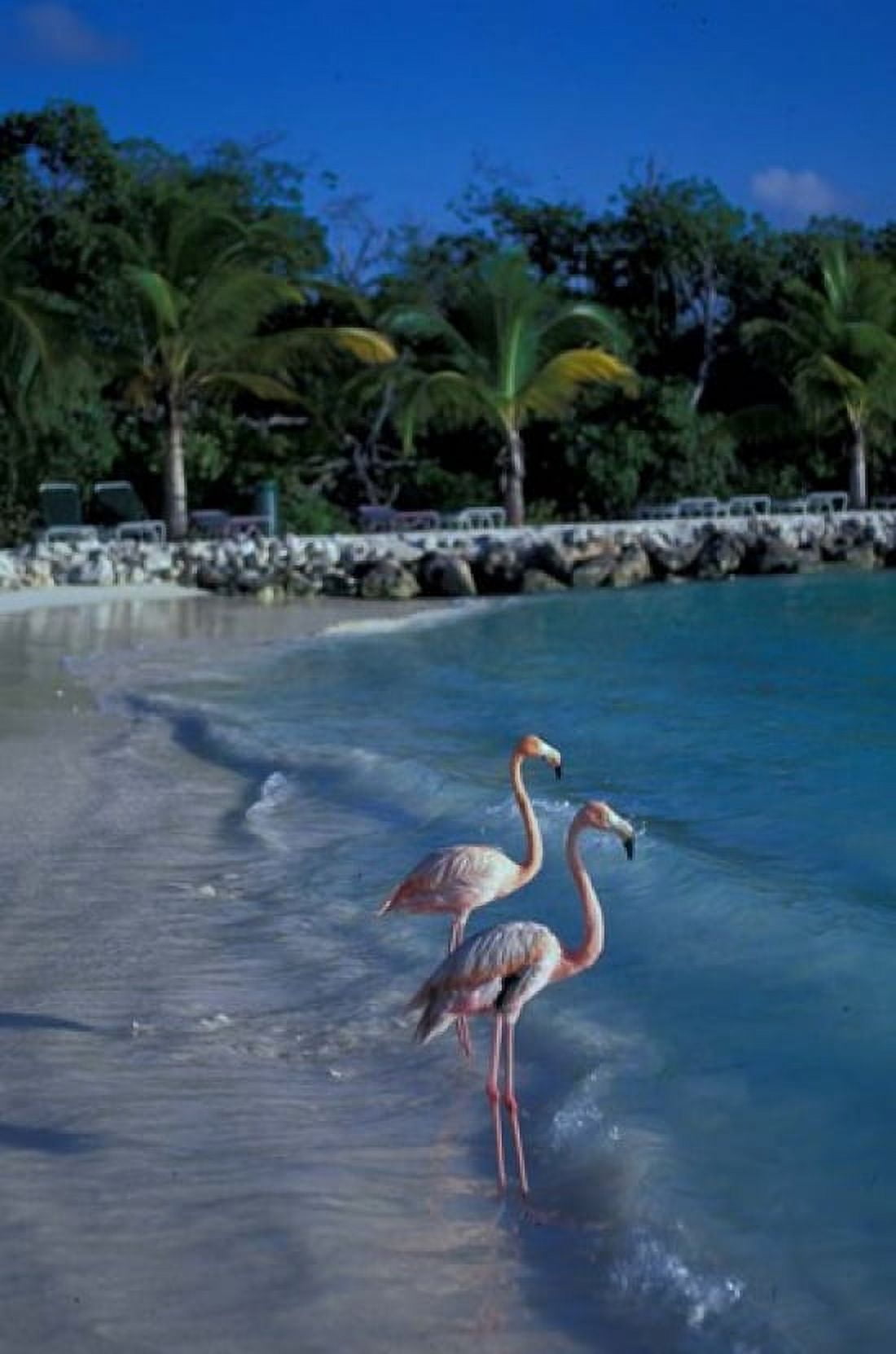 Sonesta Island Aruba Caribbean Canvas Art - Robin Hill DanitaDelimont (18 x 27)