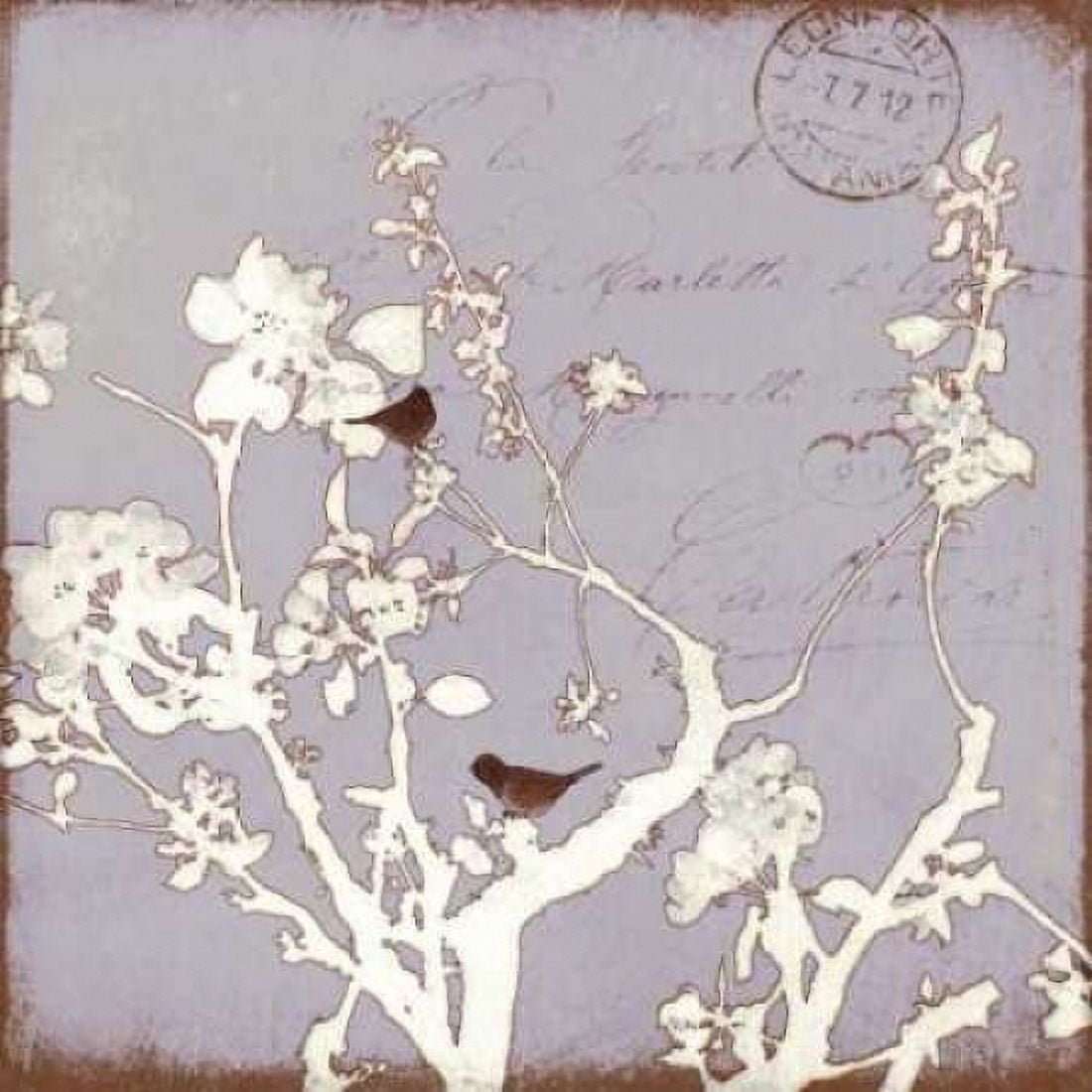 Song Birds VII Canvas Art - Amy Melious (24 x 24)