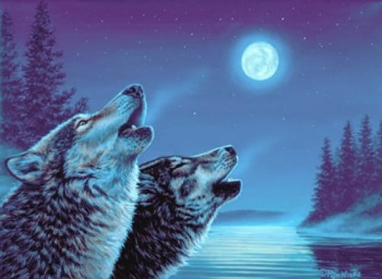 Song Of The North Canvas Art - Richard De Wolfe (25 x 19)